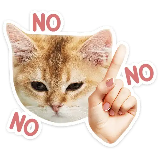 Sticker 🐱
