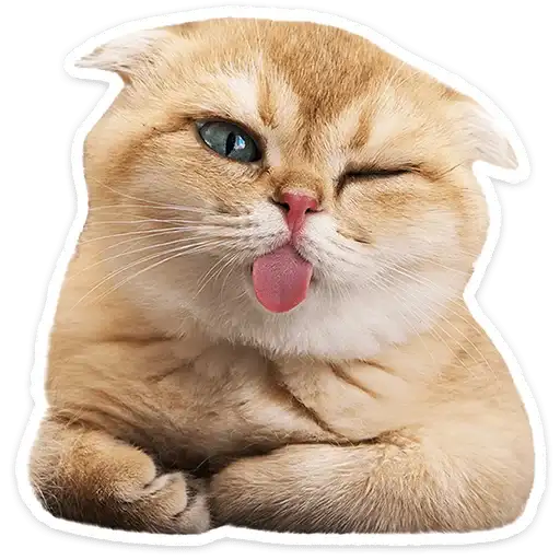 Sticker 🐱