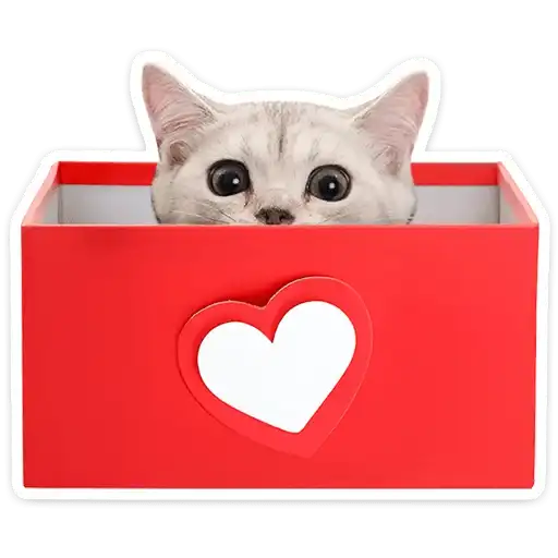 Sticker 🐱