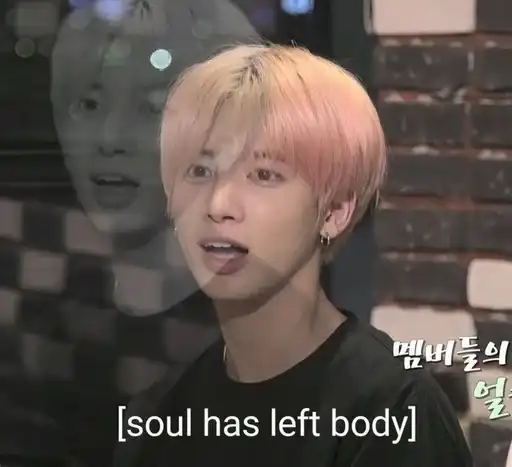 Sana the kpop lover preview