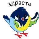 Синичка preview