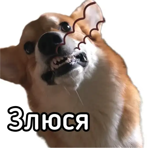 Маффин корги preview