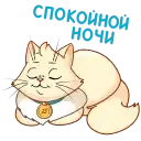 Атомная команда preview