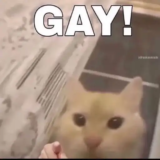 Sticker 🏳️‍🌈