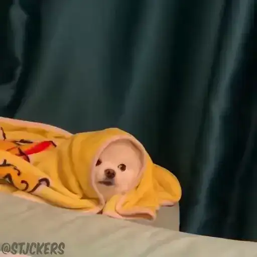 Sticker 😶‍🌫️