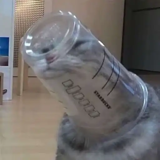 Derp Zone 🐾 preview