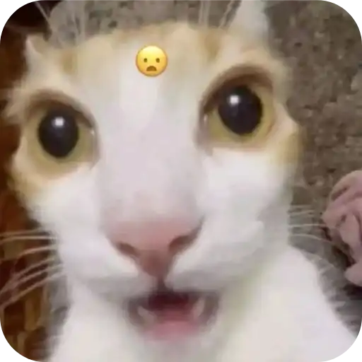 I want a cat🎀 preview