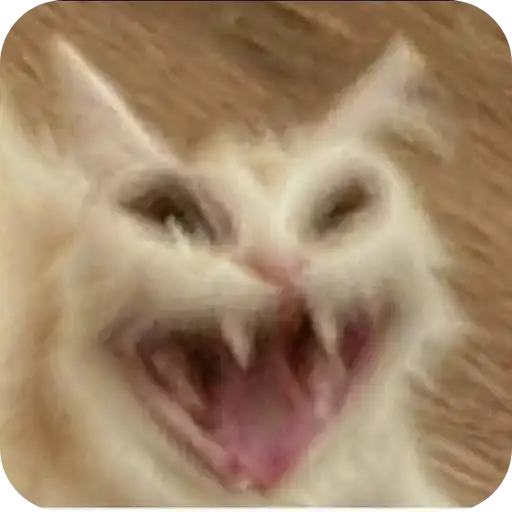 I want a cat🎀 preview