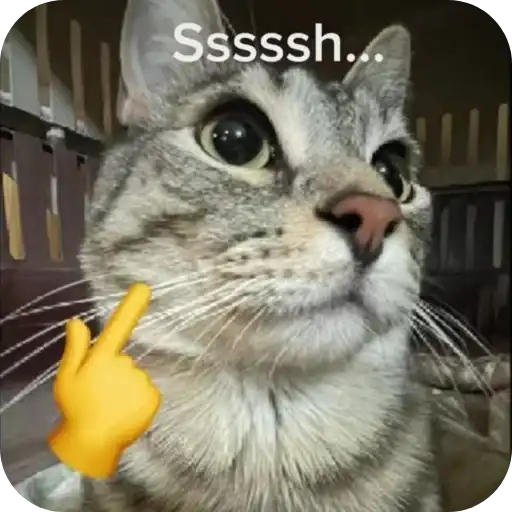 Sticker 🐱