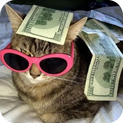 I want a cat🎀 preview