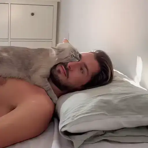 Sticker 🐈‍⬛️