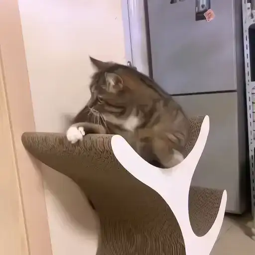 Sticker 🐈‍⬛️