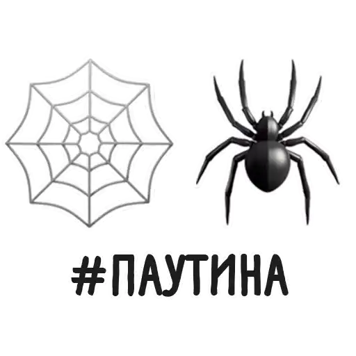 Sticker 🕸