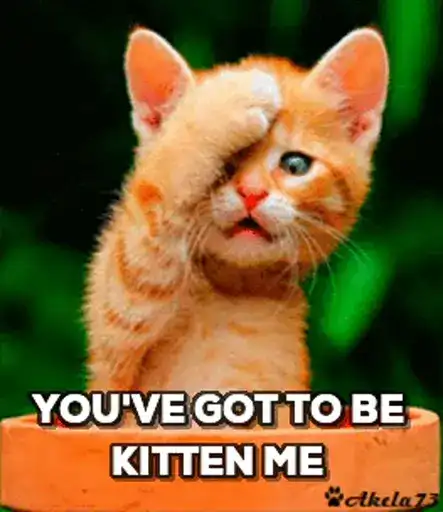 Sticker 🤦‍♂️