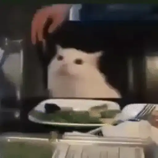 Sticker 🐈‍⬛️