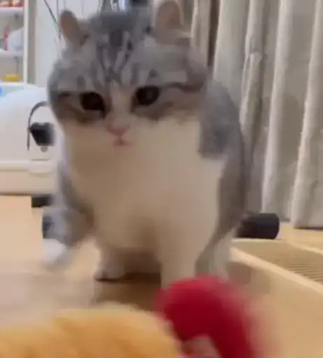 Sticker 💇‍♂️