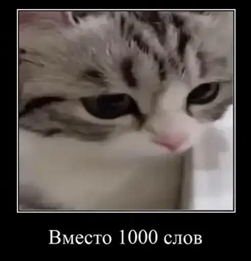 Комару preview