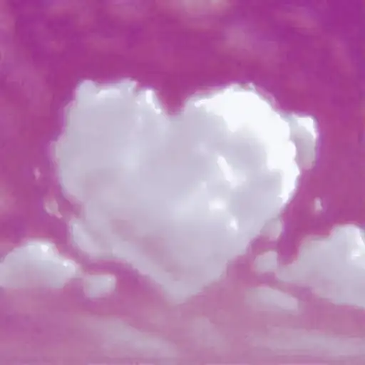 ꒰ 🥧 ꒱  ⁀ 〣 pardofelis preview