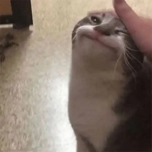 Sticker ❤️‍🔥