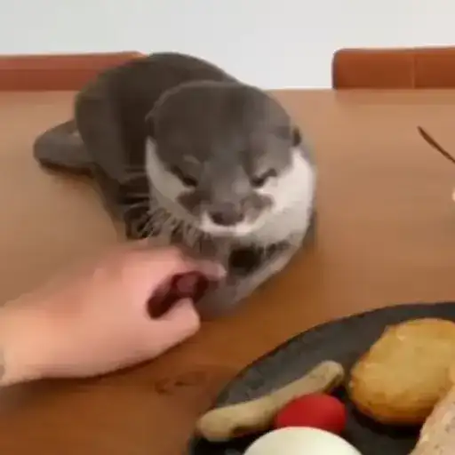 Sticker 🙅‍♂️