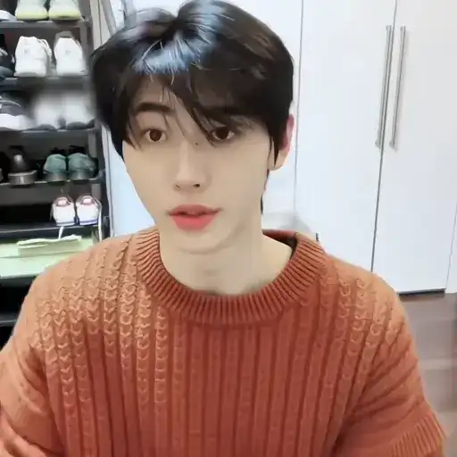 ࣺ sunghoon preview