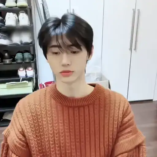 ࣺ sunghoon preview