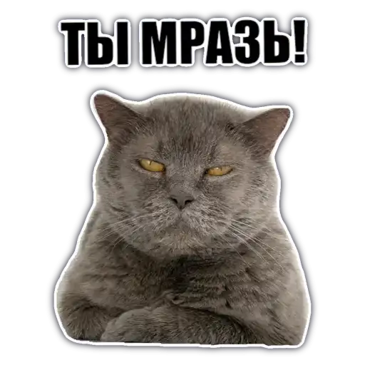 Sticker 😠