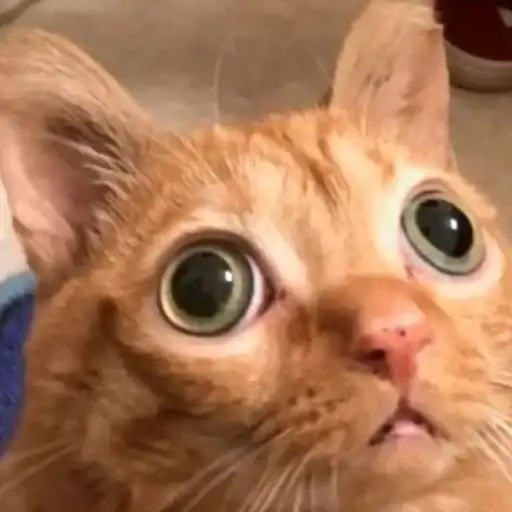 ЖМИ СЮДА preview