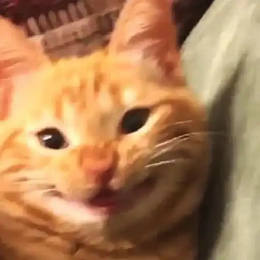 ЖМИ СЮДА preview