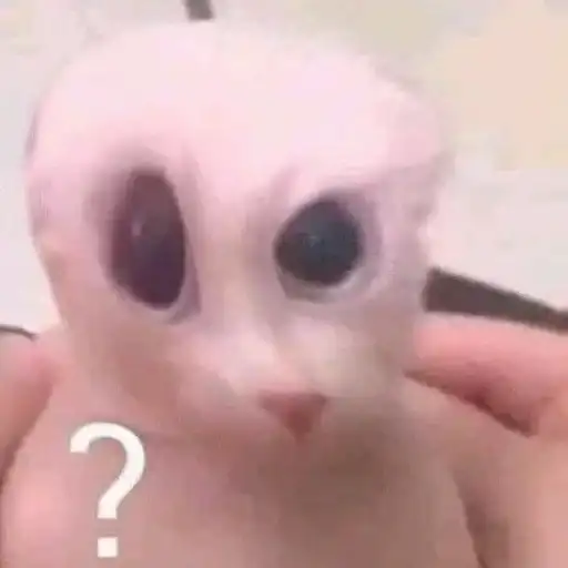 ЖМИ СЮДА preview