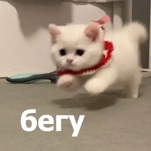 Sticker 🏃‍♀️