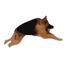 Sticker 🏃‍♂️