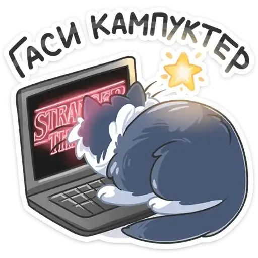 Sticker 💻