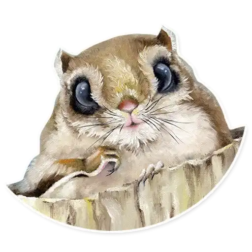 Sticker 🐿