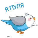 Голубой Птенчик preview