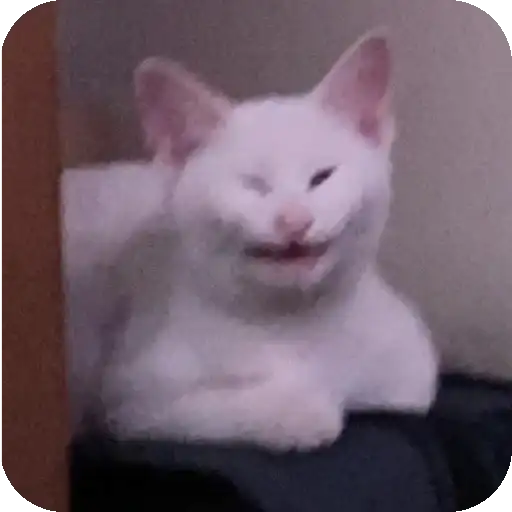 Sticker 🐱