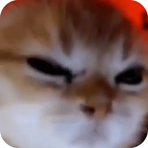 Sticker 🐱