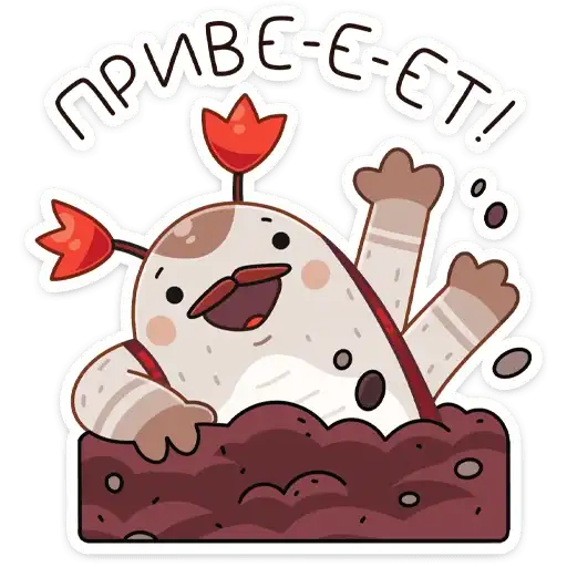 Жук Рубус preview