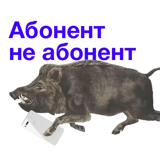 Sticker 🙂‍↕️