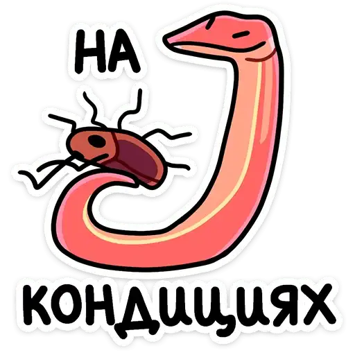 Sticker 🐍
