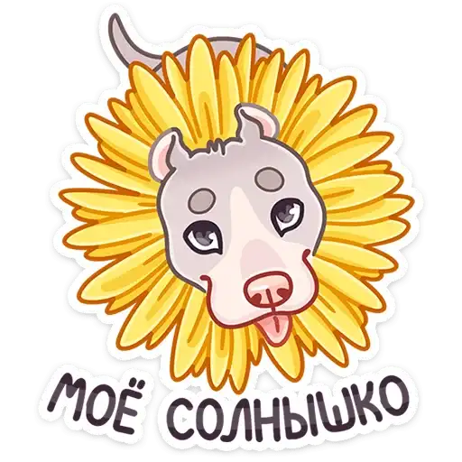 Sticker 🌻