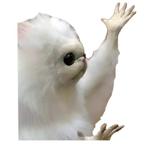 Sticker 🤷‍♀️