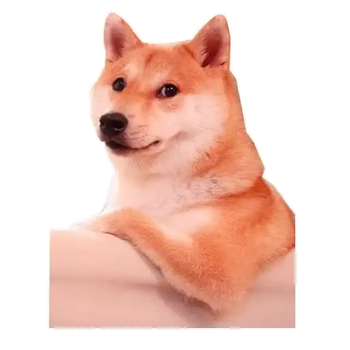 Doge preview