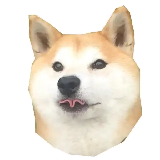 Doge preview