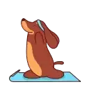 Sticker 🤸‍♂️