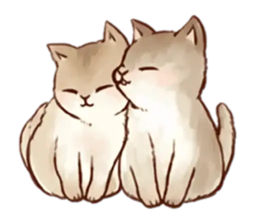 Kitten daily 🐈 preview