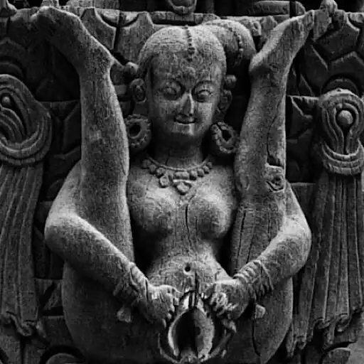 Sticker 🤸‍♀️