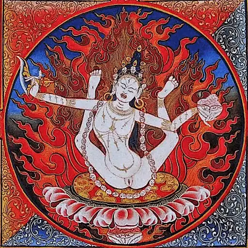 Sticker 🤸‍♀️