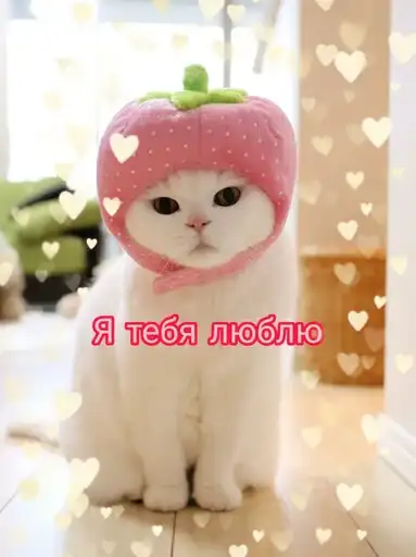 Няшные Пикчи preview