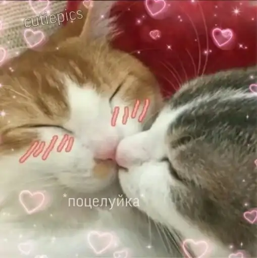 Няшные Пикчи preview